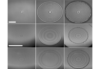 Time-Resolved Imaging Reveals Bubble Entrapment Process